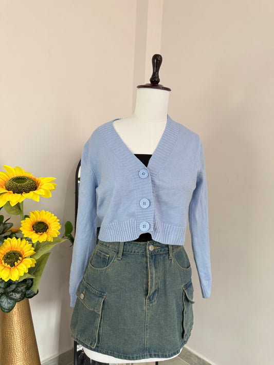 Blue Cardigan