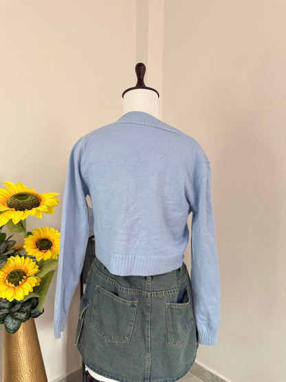 Blue Cardigan